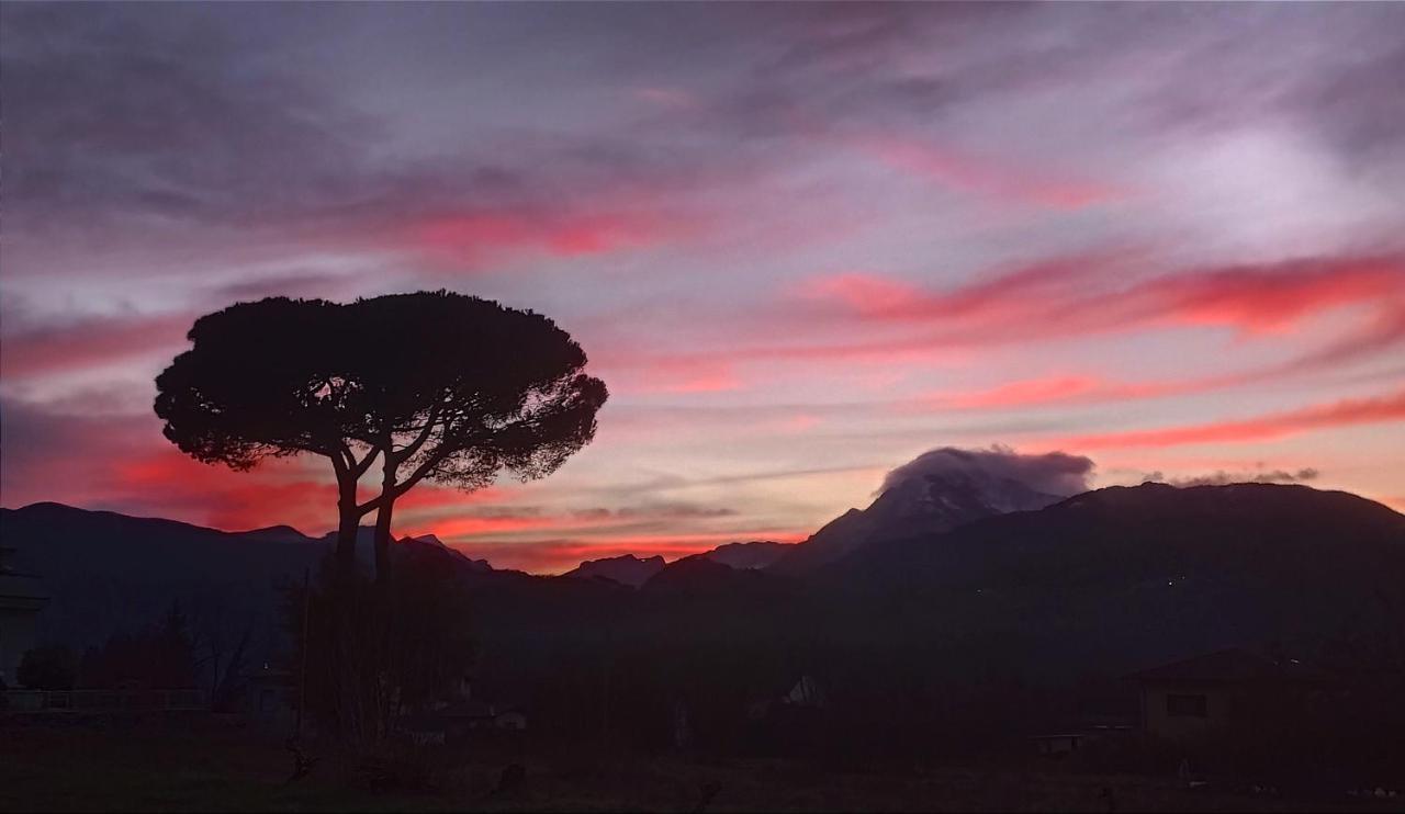 Affittacamere La Foresta Di Sopra Barga Kültér fotó