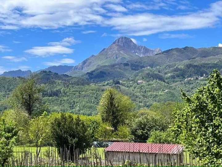 Affittacamere La Foresta Di Sopra Barga Kültér fotó